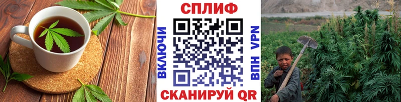купить наркоту Шимановск Canna-Cookies конопля