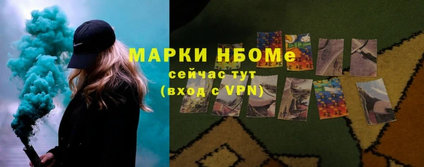 шишки Медногорск