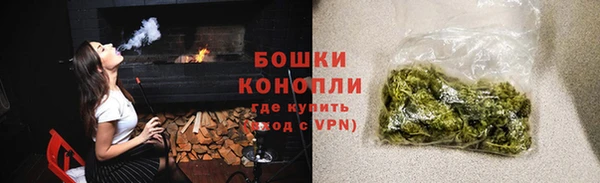 шишки Медногорск