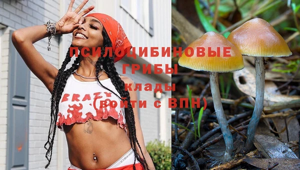 первитин Медвежьегорск