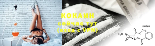 шишки Медногорск