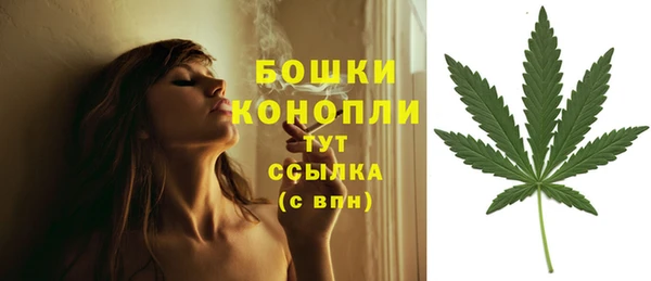 шишки Медногорск
