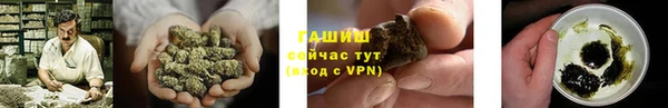 шишки Медногорск
