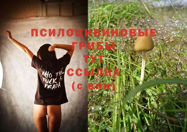 spice Мегион
