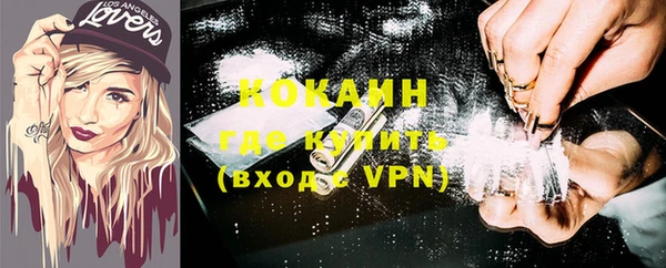 шишки Медногорск