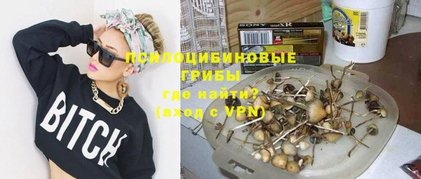 шишки Медногорск