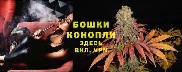 spice Мегион