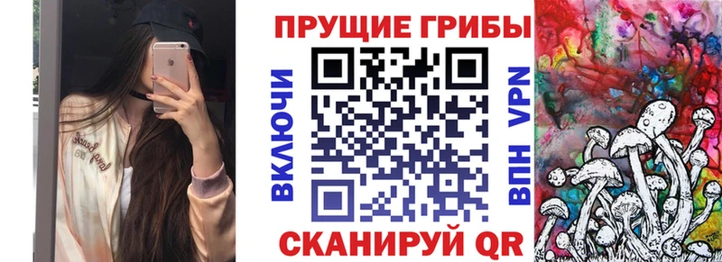 мега маркетплейс  Шимановск  Псилоцибиновые грибы Cubensis  наркотики 